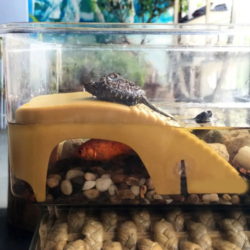 Adjustable Reptile Platform Plastic Double Track Turtle Climbing Platform with Suction Cups Turtle Basking Table Lizards