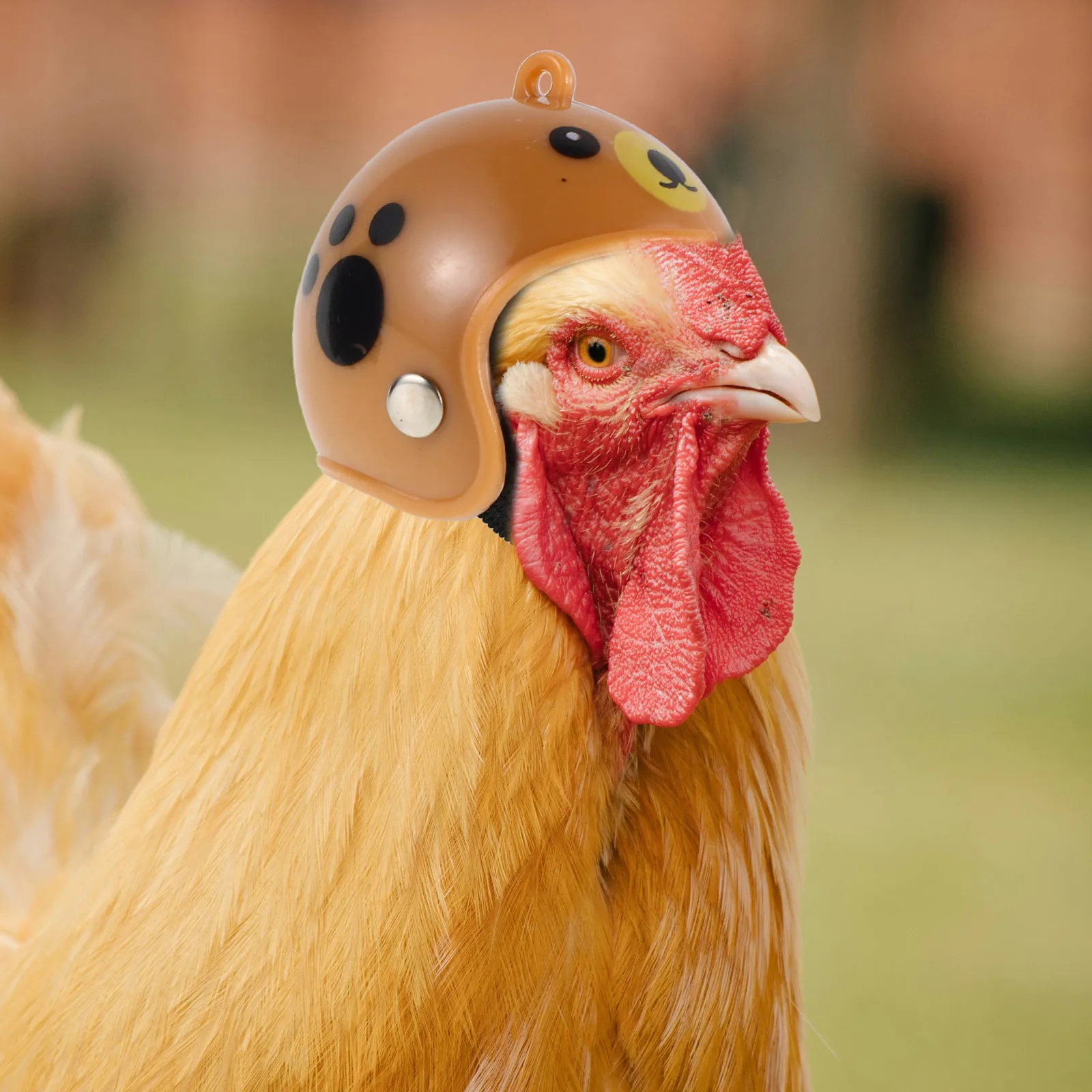

Chicken Bird Hat Animal Hats Costumes for Animals Accessories Head Protection