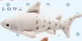 Sand Shark