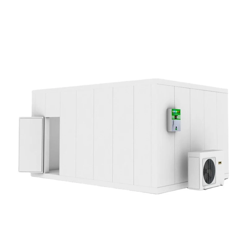 Cold Room PU Sandwich Panel Freezer Cold Storage Walk in for Fruits Vegetable Meat Sea Food