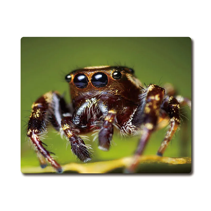 Cute Big Eyes Jumping Spider Printed Anti-slip Rubber Pad Office Cup Coaster Party Favor Gifts 220x180x3mm