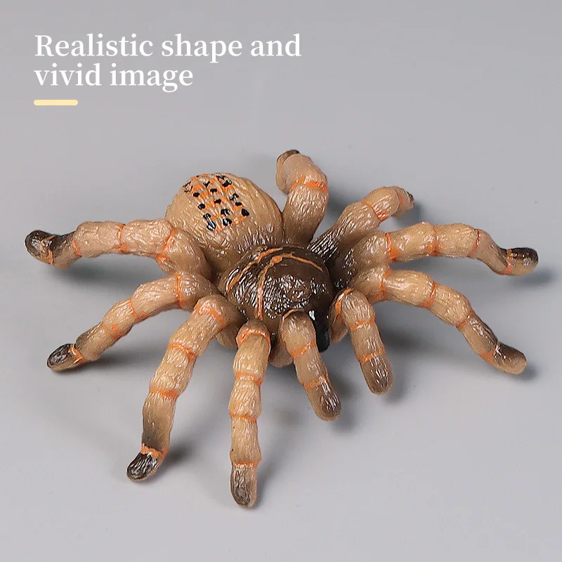 ชุดของเล่นแมงมุมสัตว์ประดิษฐ์เพื่อการศึกษา ชุดฟิกเกอร์สัตว์โลก ของเล่นเสริมสร้างความรู้ด้านวิทยาศาสตร์และการเรียนรู้ สำหรับเด็ก