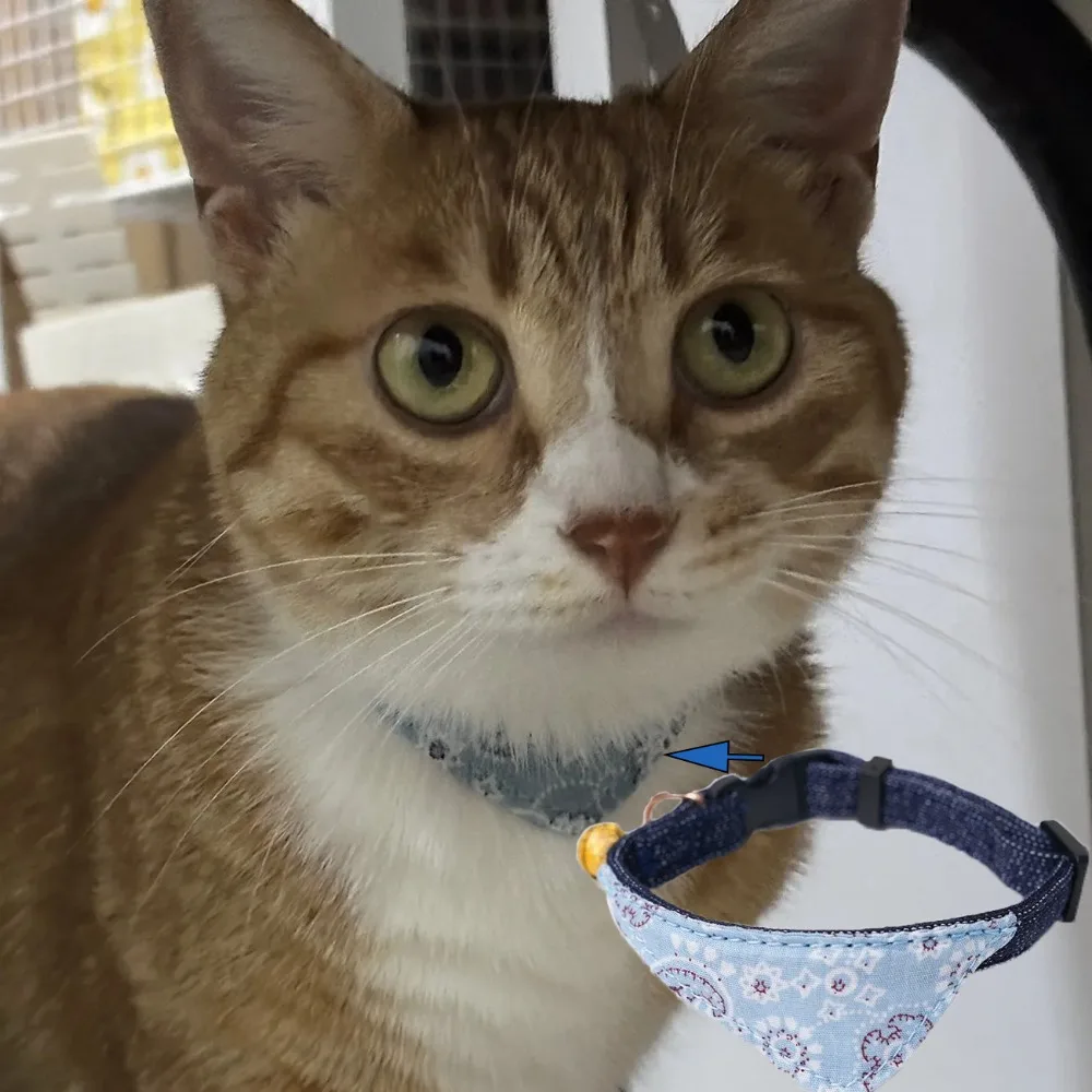 

Регулируемый ошейник для кошек с колокольчиком, милый шарф для кошек, слюнявное полотенце, мягкий современный дизайн, треугольный шарф для собак, товары для домашних животных