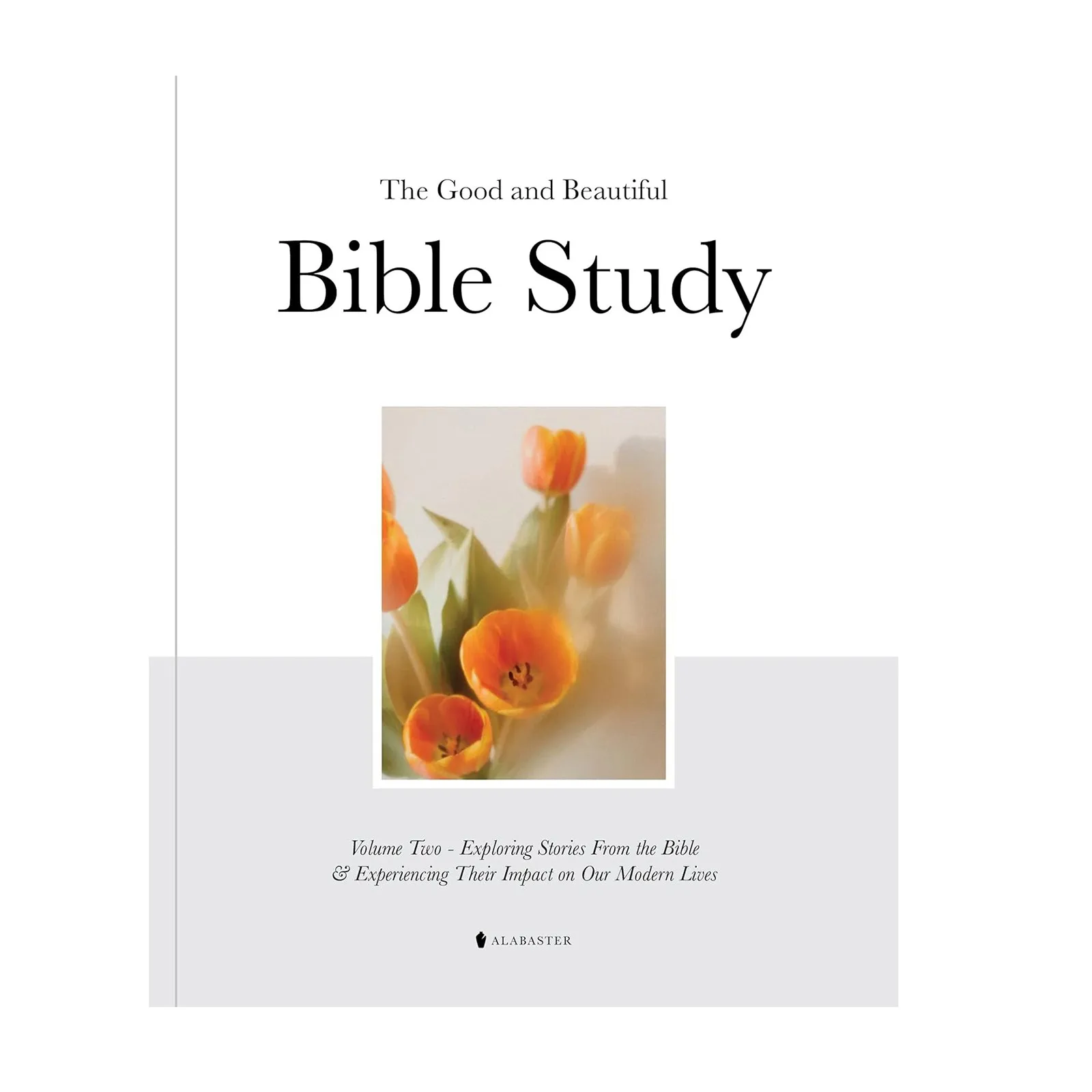 And Beautiful Bible Study Book:Experiencing Stories From The Bible And What It Means For Our Lives Today