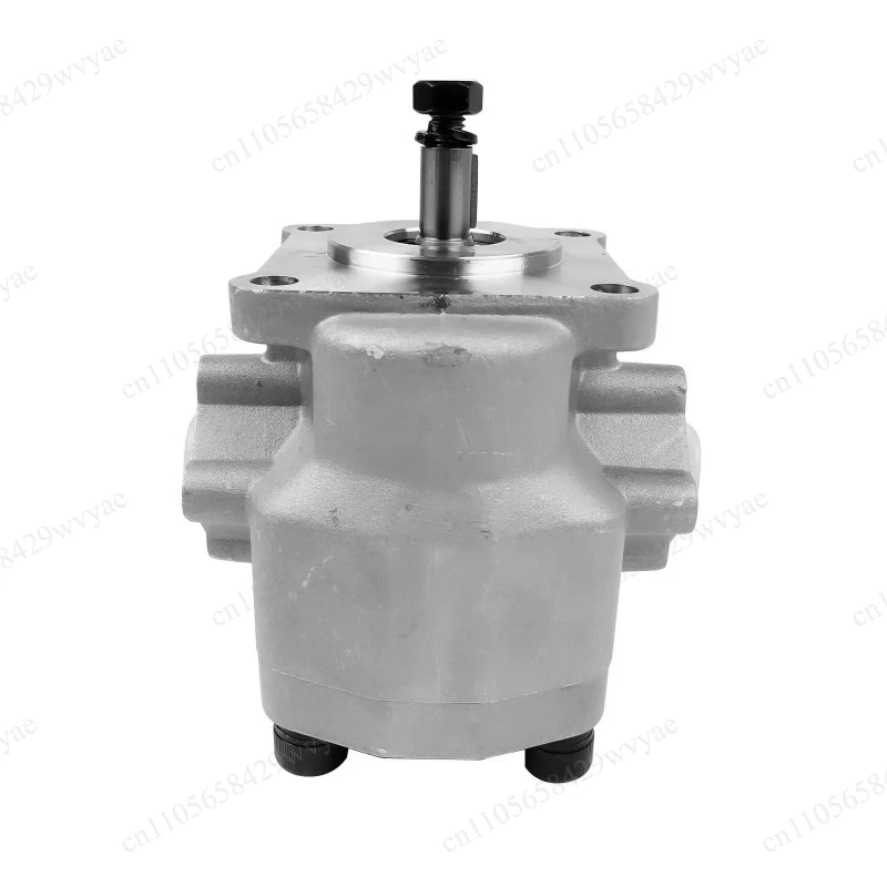 Hydraulic Pump for Tractor, Part No. 19424041110 19414541120 CH11272