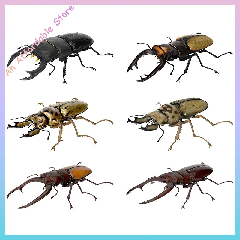 在庫あり オリジナル バンダイ アクションフィギュア 生物百科事典 カブトムシ カマキリ カブトムシ コーナーショベル 昆虫 動物モデル