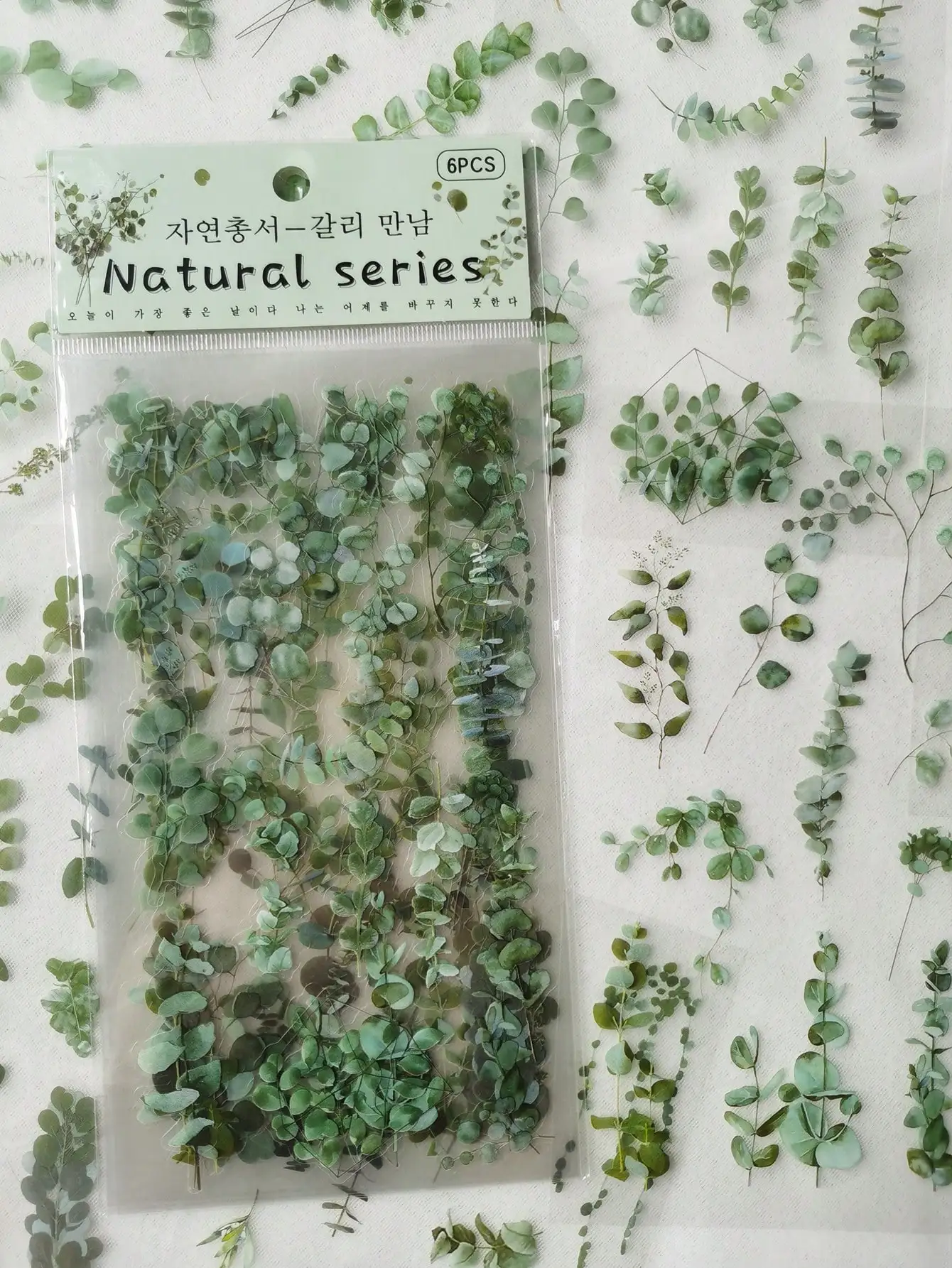 1pack Vintage Eucalyptus Plant & Flowers Pvc Waterproof Deco