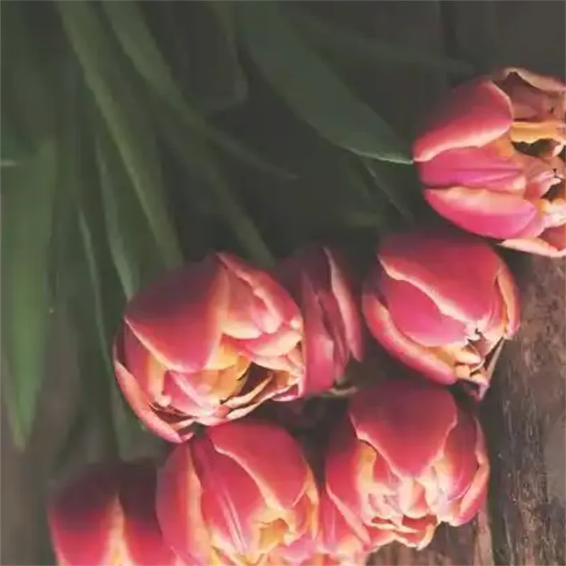 nuova-forcina-gotica-con-catena-e-fiocco-in-pizzo-accessorio-per-capelli-femminile-stile-dark-dolce-cool-hip-hop-personalizzato