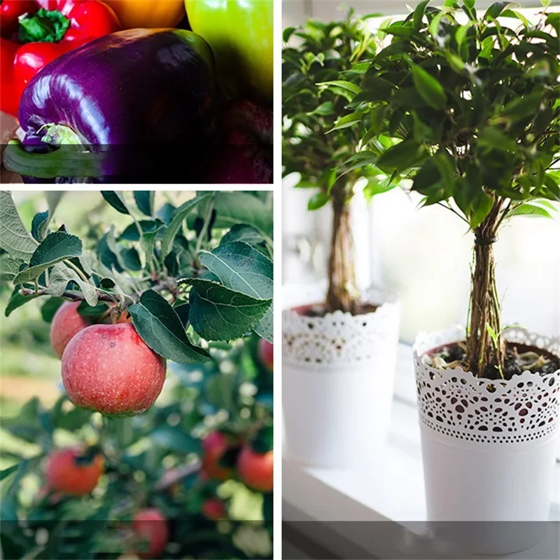 프로 정원 가지 치기 가위, 길어진 나무 꽃 가위, 손 분재 클리퍼, 과일 야채 따기, 표준 수공구