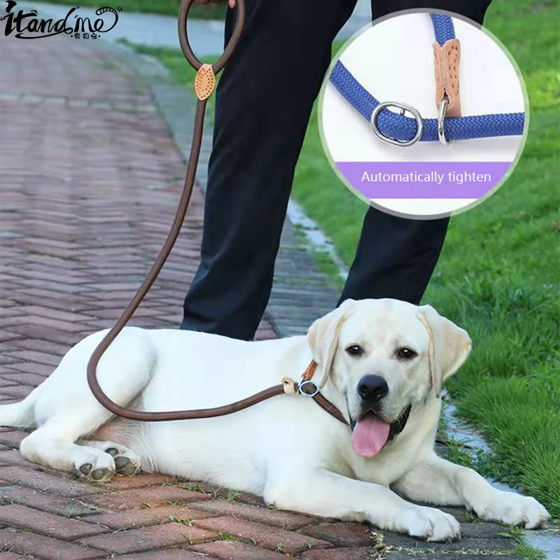 2.5m Lengthen Integrated Leash And Collar Durable P Chain Collar Nylon Adjustable Dog Training Leads Tied Dog Supplies