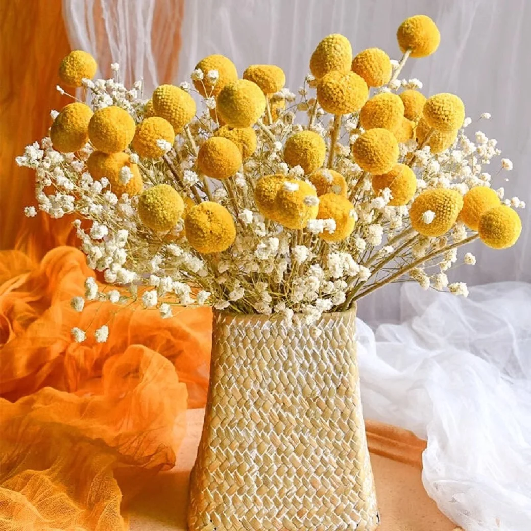

Golden Ball Dried Immortal Bouquet DIY High Grade Real Flowers Natural Plant Decoration