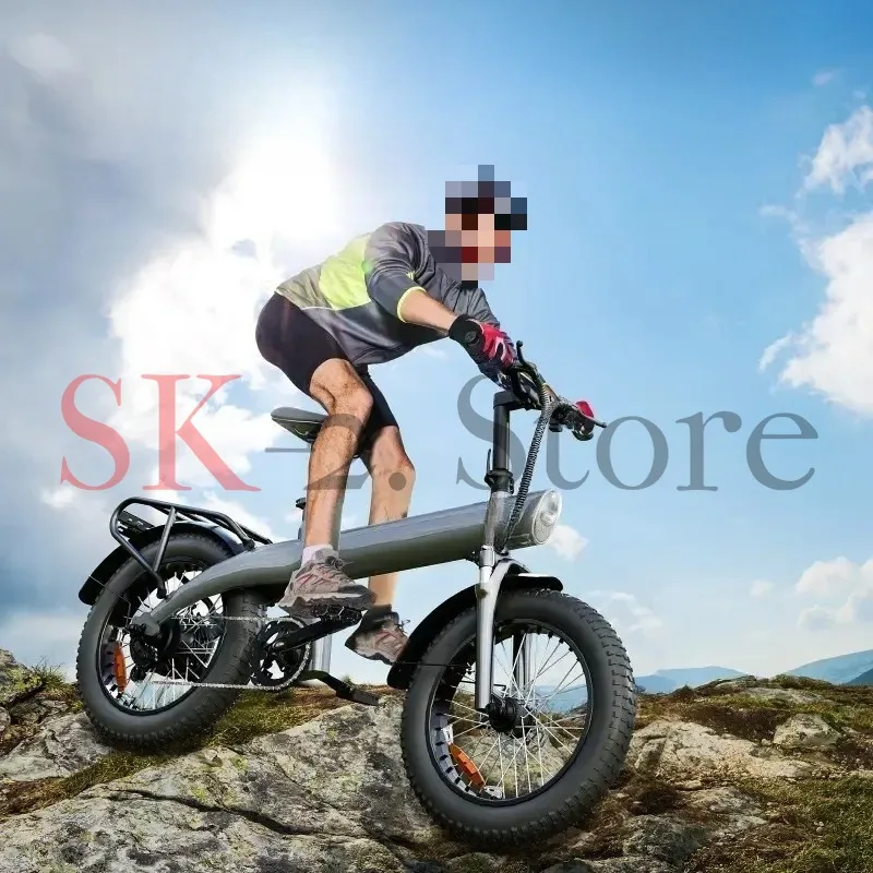 750 Watt Fat Tire Ebike Electrica 45 km h Big Tyre Charging Cycle Electric City Bike Cargo Electrical Bikes