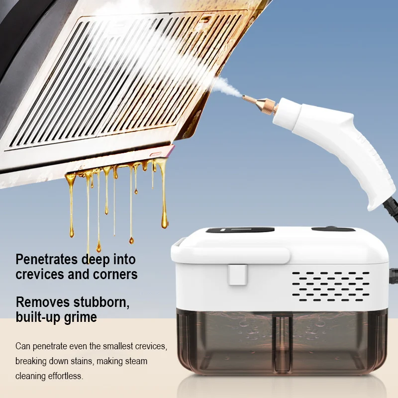 Handheld High Temperature Steam Cleaner Kitchen Hood Cleaner for Air Conditioner Electric Steam Cleaner Machine Floor Cleaning