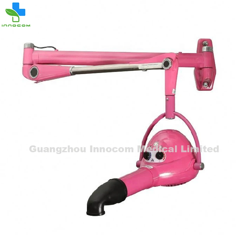 Energy-Efficient Wall-Mounted Dog Dryer Pet Salons Adjustable Speed Temperature Blower Guangzhou Veterinary Instrument Product