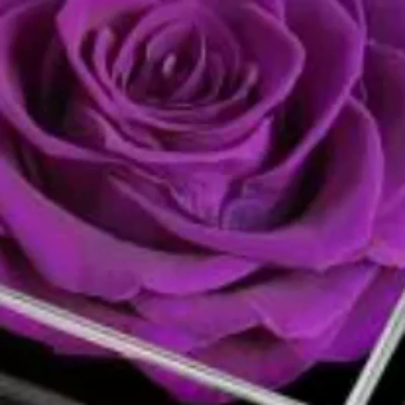conjunto-de-caixa-de-presente-com-rosa-artificial-colar-de-coracao-e-brincos-para-mulheres-maes-aniversarios-dia-dos-namorados-e-dia-das-maes