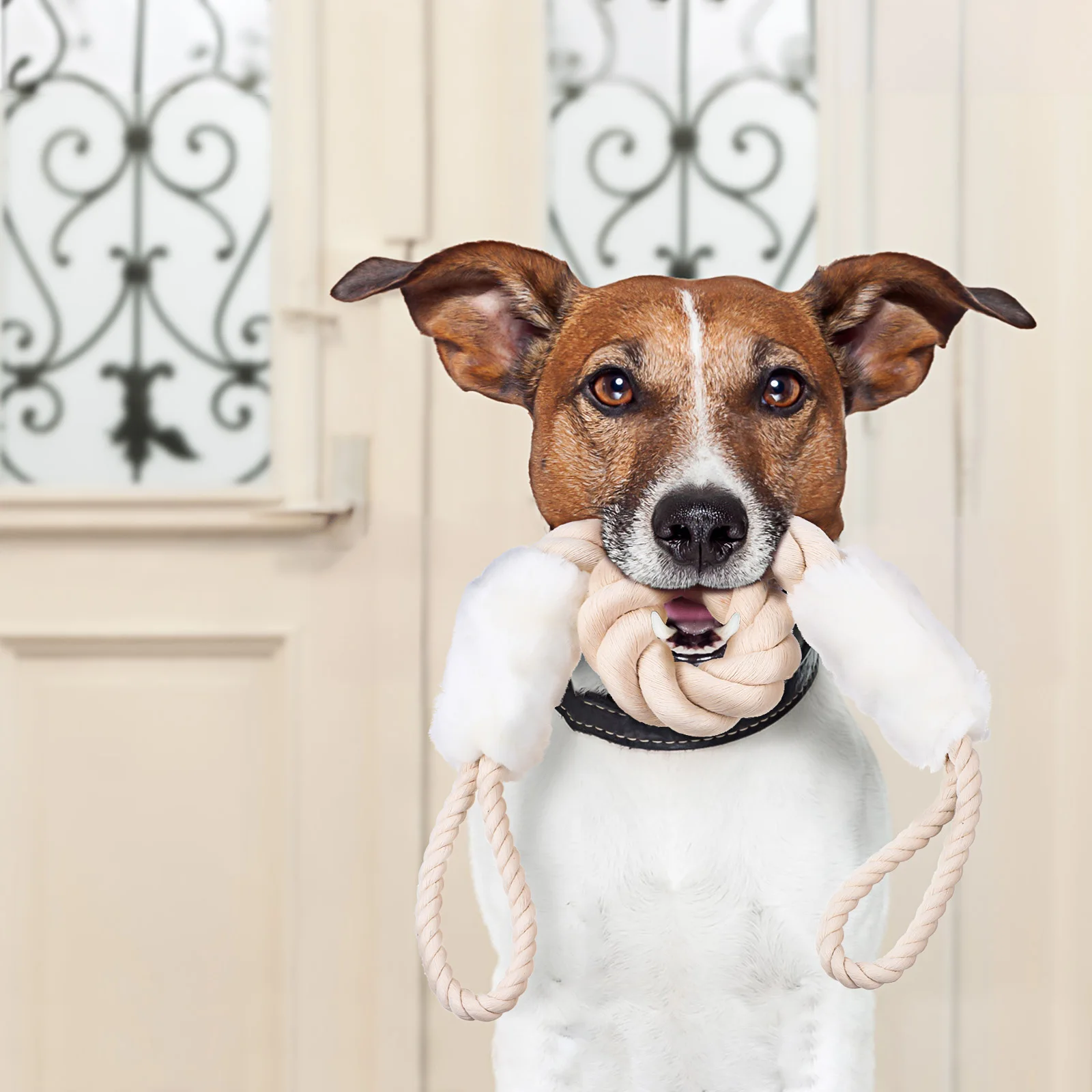 

Safety Door Pull Rope Stop Pinch Guard Stopper Protector Pet Toy Latch Finger 65% Cotton Latches Travel Guards Outdoor