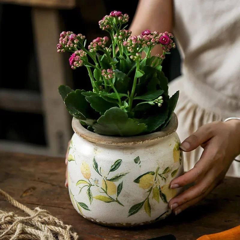 Lemon Flower Vase Retro Vintage Ceramic Creativity Nordic French Gardening Green Plants Table Decorations Flower Hydroponics
