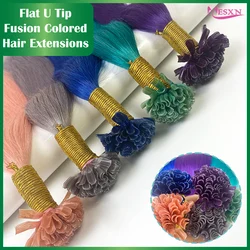 MESXN Color U Tip Hair Extensions Natural Real Human Fusion Hair Extensions Color Purple Blue Pink Gray 20inch 0.5g/Strand