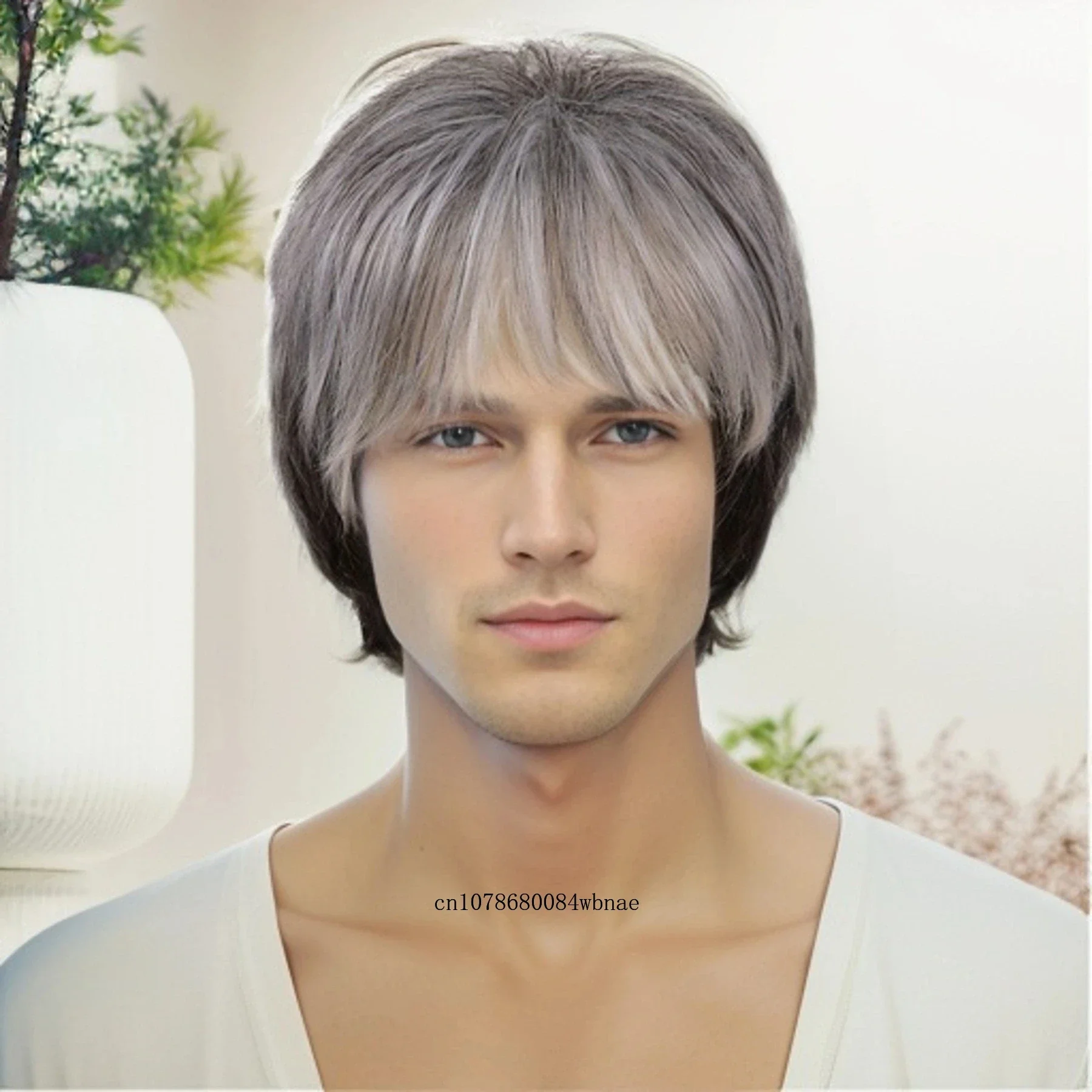 Short Haircut Wigs Synthetic Hair Grey Mix Black Wig with Bangs for Elder Men Father Daily Costume Party Cosplay Heat Resistant