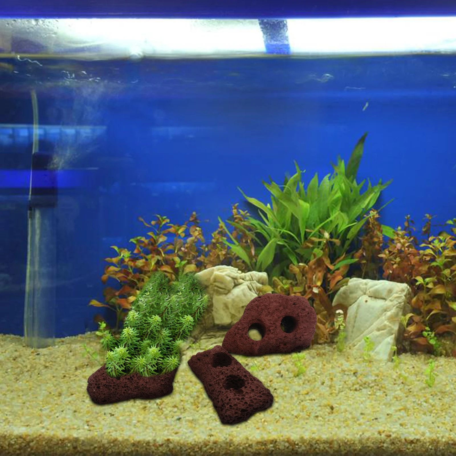 

5Pcs Volcanic Rocks Ornament Creative Plant Fixed Ring Landscape Decoration Aquarium Fish Tank Aquatic Plant Fixing Accessories