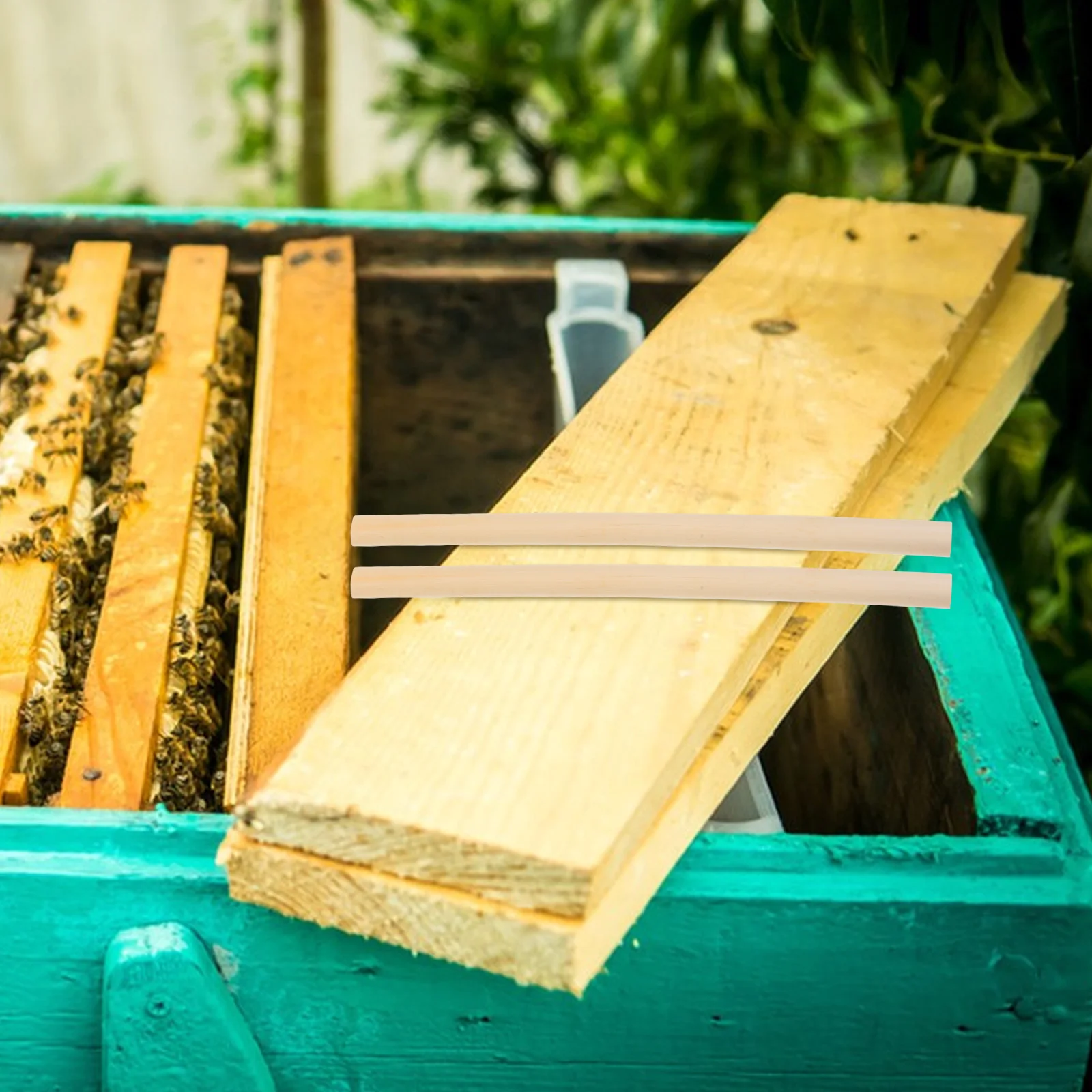 Repuestos de Tubos para Abejas, 100 Piezas de Tubos de Caña Natural para Piezas de Bricolaje para Casas de Abejas, Recambio para Nidos de Abejas, Revestimientos para Hogares de Insectos