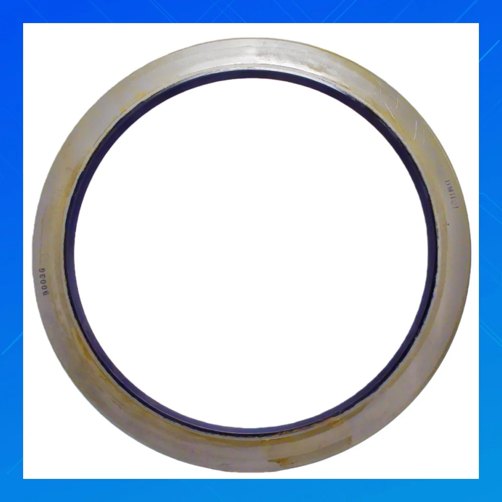 

Уплотнение поворотного вала OEM 90036, подходящее для промышленных насосов SKF/CR/90036, химически стойкое защитное уплотнение вала DMMHUI 1219005