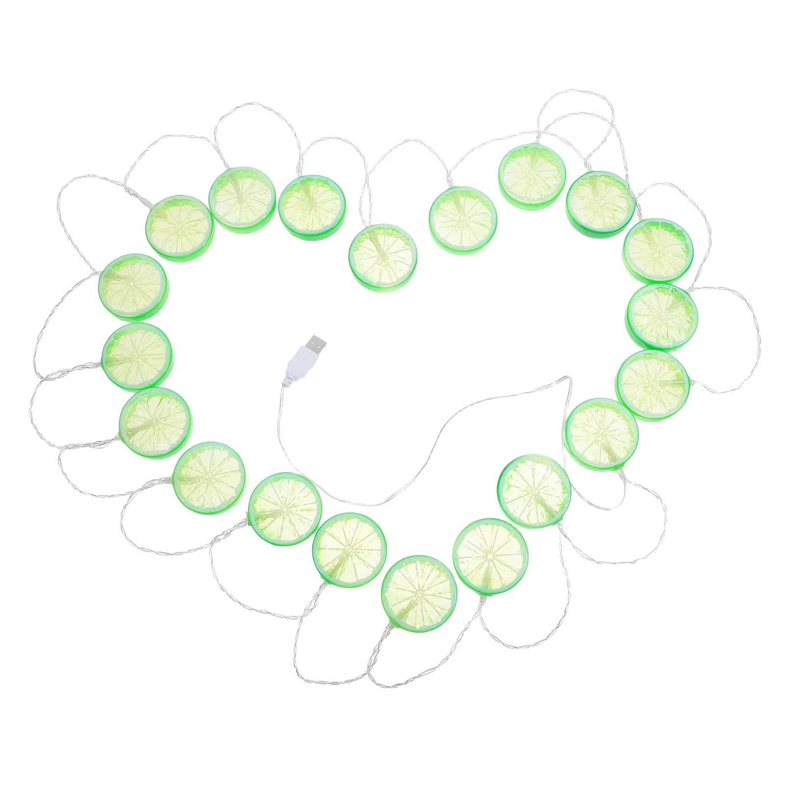 10 متر 50Led الجير شريحة سلسلة أضواء Usb بالطاقة للداخلية في الهواء الطلق حفل زفاف الديكور التخييم حديقة الجنية أضواء