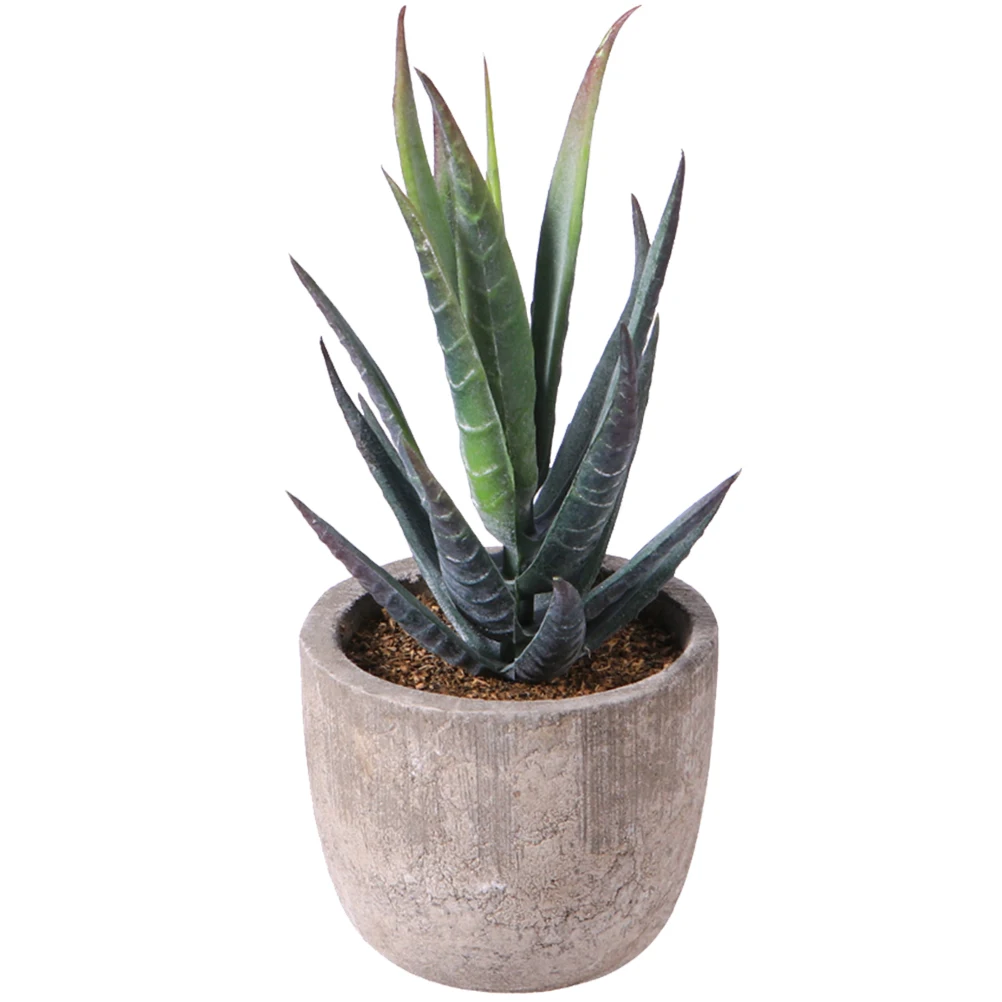 

Fake Simulated Succulent Plant Bonsai Decoration Simulation Decorations Indoor Desktop