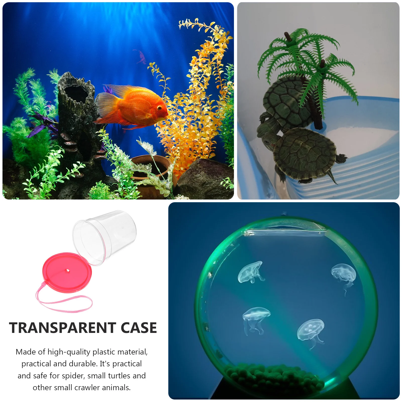 Reptile Feeding Box Small Turtle Tank Jellyfish Cup Insects Holder Transparent Case For Pet Breeding Container Spiders