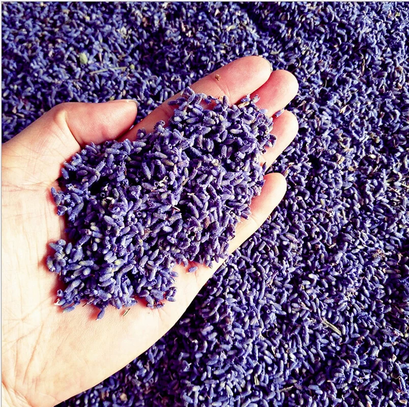 3.3lbs/1.5kg Dried Lavender Flower buds 5A GRADE Dried Lavender Buds for Lavender Sachet Wedding Party Soap DIY Spa Food Grade