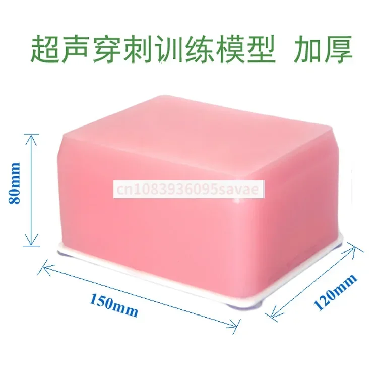 Puncture model, ultrasound puncture training model, elevation and thickening