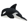 killer whale