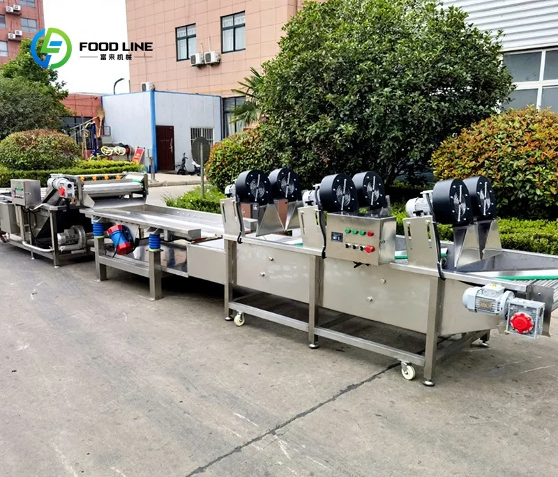 Customized Fruit Vegetable Dehydrator Bubble Cleaning Air Drying Machine Date Palm Apple Cherry Tomato Cleaning Drying Machine
