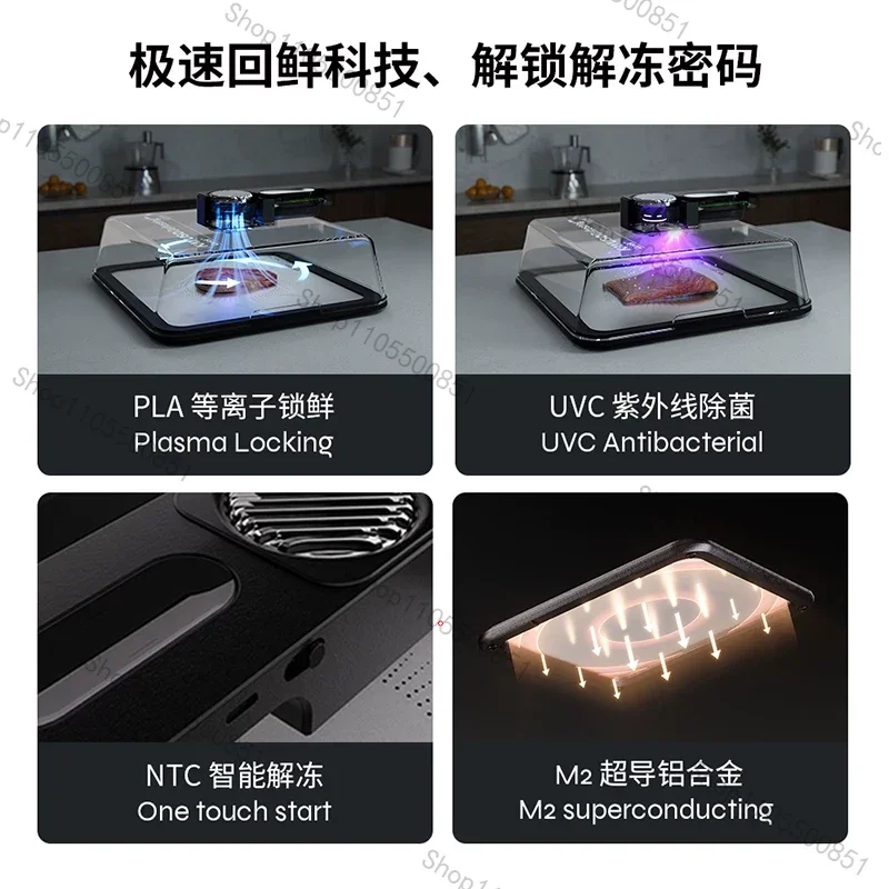 Type-C Charging Defrosting Box Ultra-fast Fresh Recovery Machine Beef Frozen Food Meat Seafood Defrosting Plate