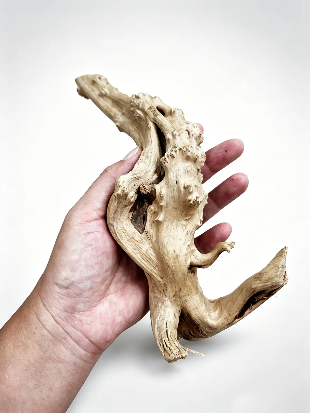 7-26CM 4 Sizes Driftwood Cuckoo Roots Dead-wood Tree Trunk Landscape Creative Reptile Cylinder Fish Tank Ornament Aquarium Decor - view 4