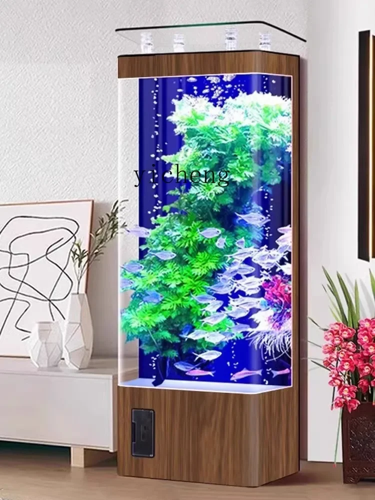 XL water-free household fish tank integrated molding glass medium-sized goldfish tank ecological aquarium