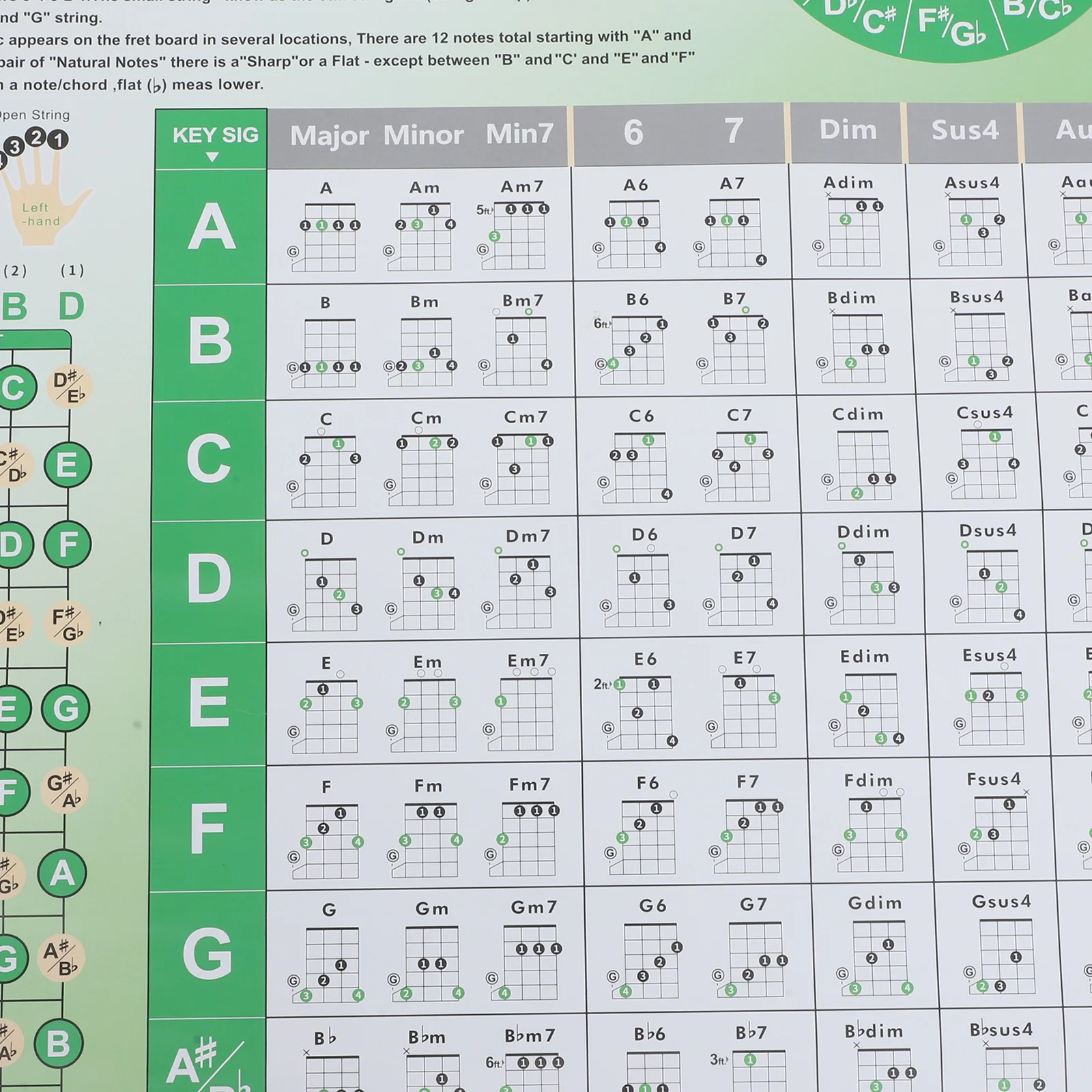 

Banjo Fingering Chart Chord for Beginner Poster Learning Portable Paper Large Beginners