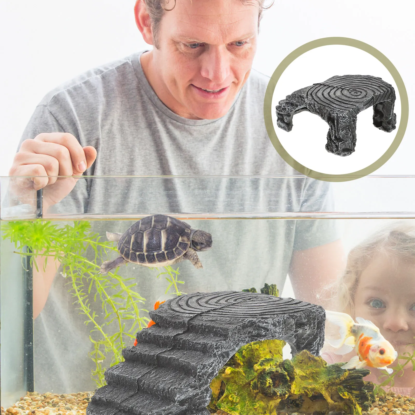 

1 Medium Size Turtle Basking Platform Resin Floating Island Climbing Slope for Brazilian Turtles Sunbathing Reptile Terrapins