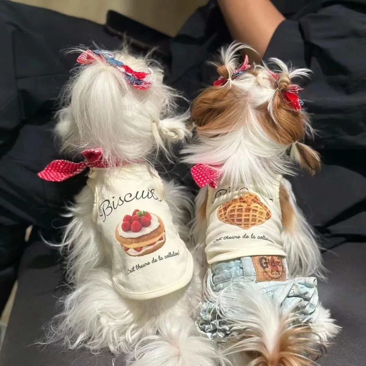 Dog Vest Cute Plaid Collar Clothes Yorkshire Pet Maltese Vest Bear Teddy Cowboy Cat Thin Style Spring Cooling Vest