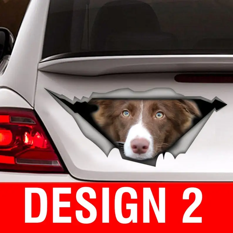 STICKER/ Brown and White Border collie car sticker , dog car decal, car decoration, pet decal