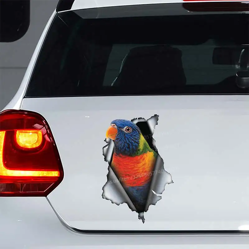 

Rainbow Lorikeet Bird Car Sticker Waterproof Vinyl Decal Bumper Rear Window Laptop Self-adhesive Decal For Car Accessories SH209