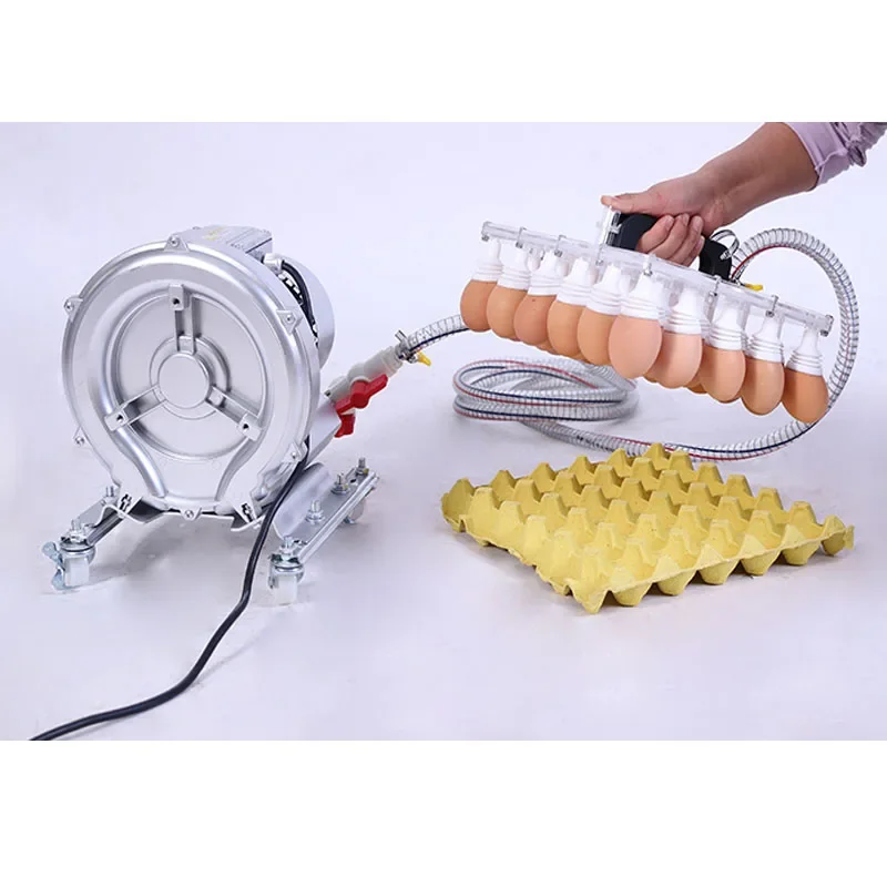 

Vacuum Code Egg Incubator Accessories to suck chicken and duck eggs can suck 30 pieces at a time With two handles