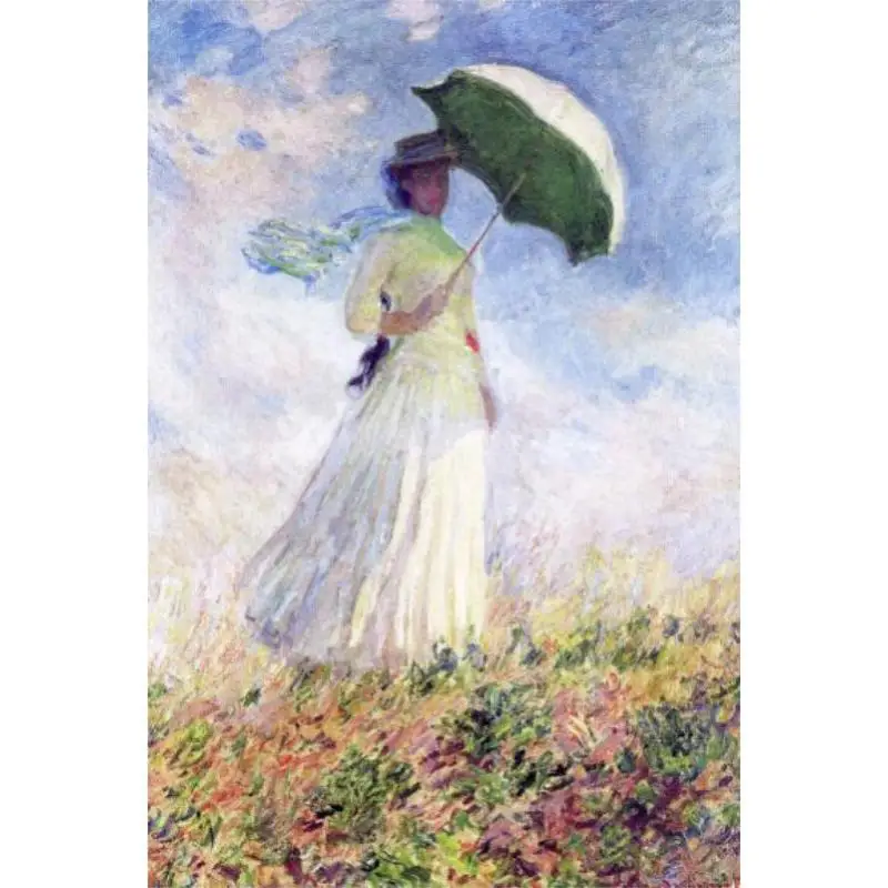 متحف مونيه مونيه تشينغوان شي 9784861522666 كتاب