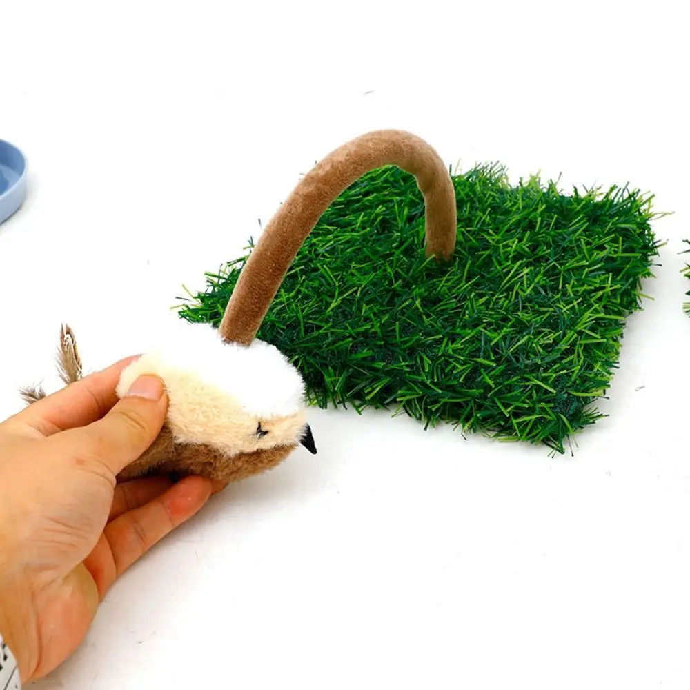 

Creative Cat Scratching Tray Bite Resistant Self-Hilarious Interactive Cat Toy Plush Sparrow Durable Cat Spring Toy Exercise Toy