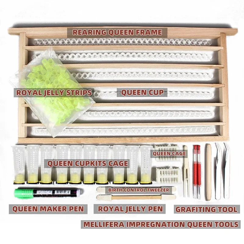 No Graft Queen Rearing System Beekeeping Larvae Transfer Tool For Apis Mellifera Queen Bee Breeding Beehive Equipment