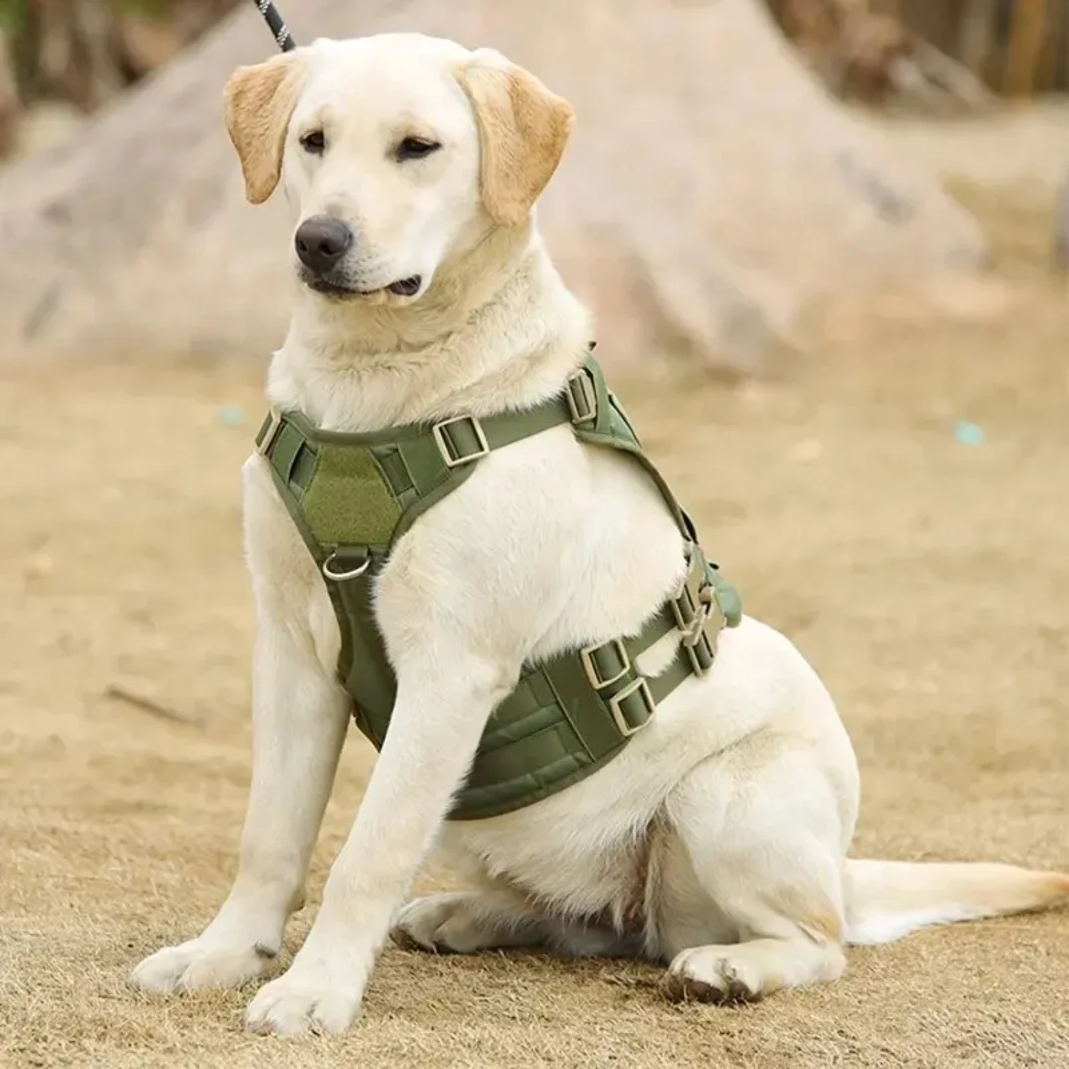 Arnés táctico militar ajustable, duradero y versátil para perros de tamaño mediano a grande, nueva opción de alta calidad para Wal