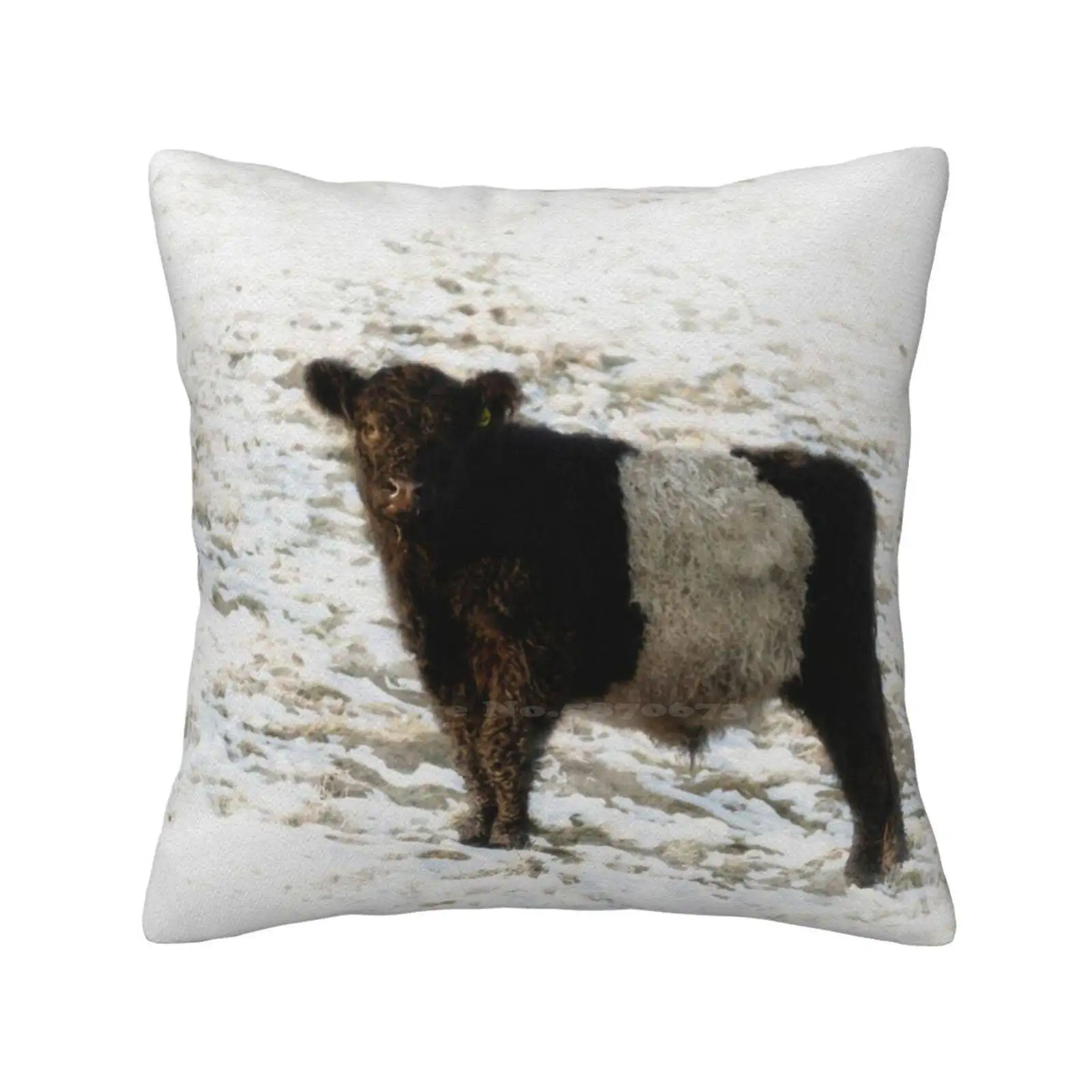 Belted Galloway Cow Watercolour Photograph. Pillows Case Bedroom Home Decoration Farm Animal Livestock Watercolour Photo