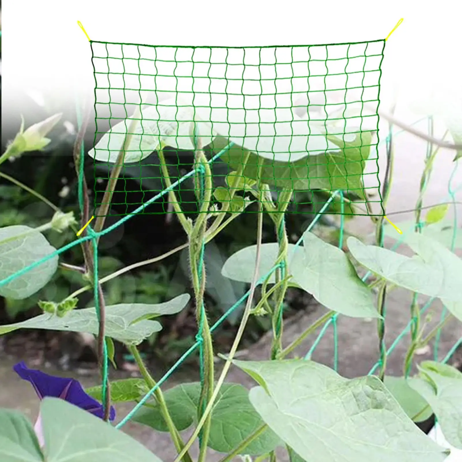 Trellis Netting For Climbing Plants Garden Mesh Trellis Netting For Climbing Plants Vegetable Tomato Cucumber Fence Growing