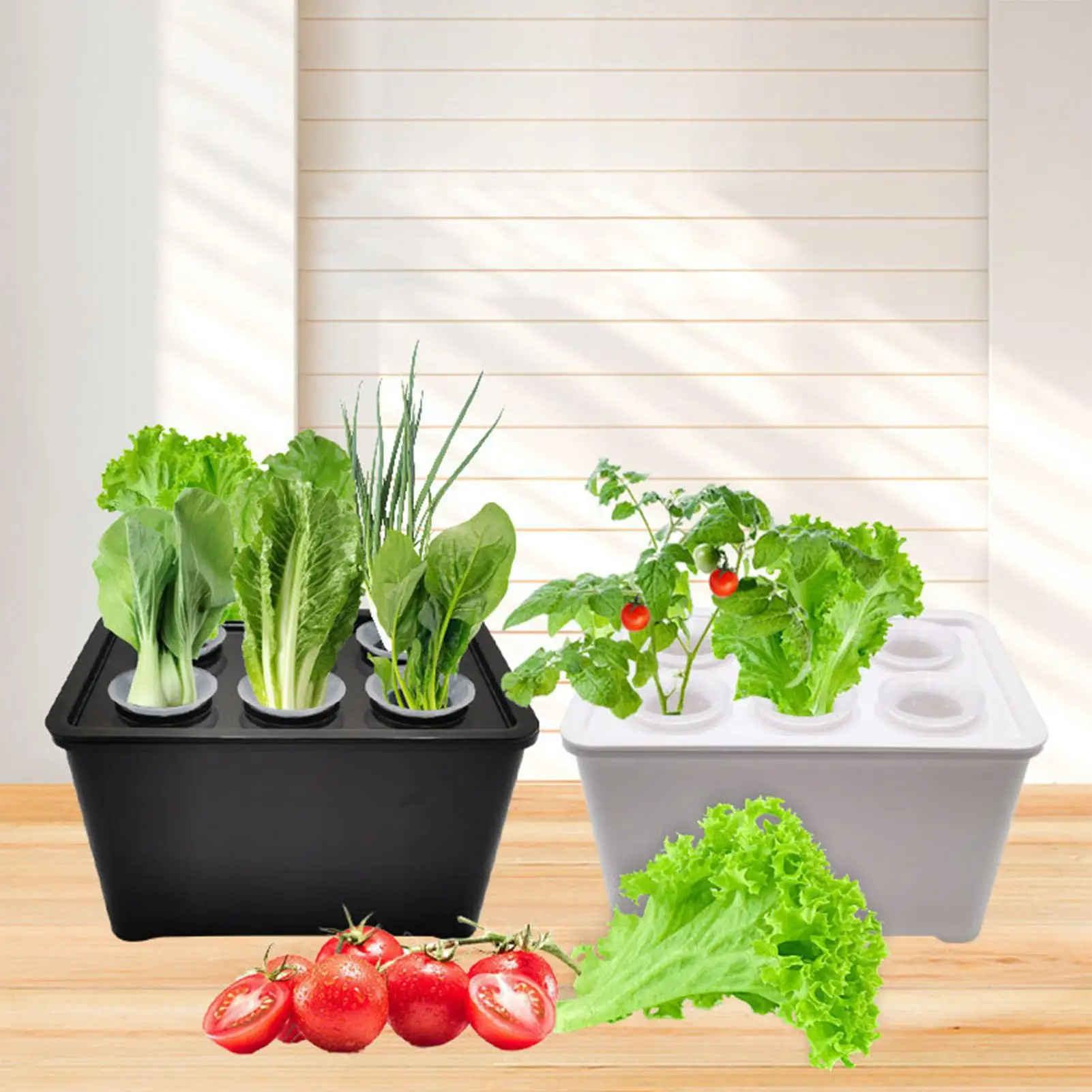 Seeding Starting Tray 6-Cell Cover Greenhouse Propagator Germination Trays Seedling Pot For Flowers Vegetables Indoor Dorm