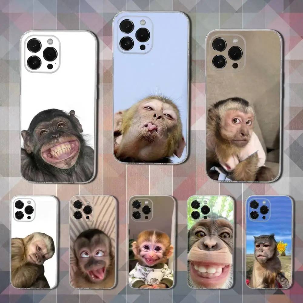 

Monkey S-Sipping C-Caprisun Phone Case For iPhone 16,15,14,13,12,11,17 Pro,Max,Plus,X,XS,XR,SE,Mini Transparent Soft Cover